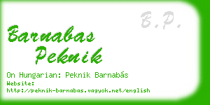 barnabas peknik business card